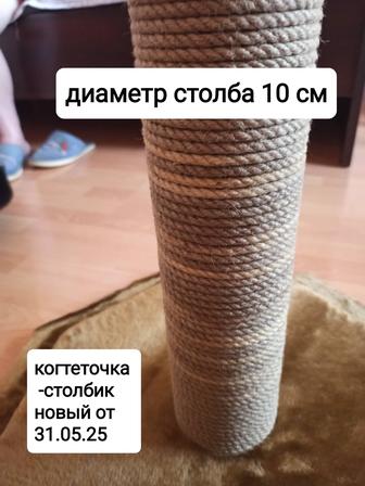 Когтеточка столбик