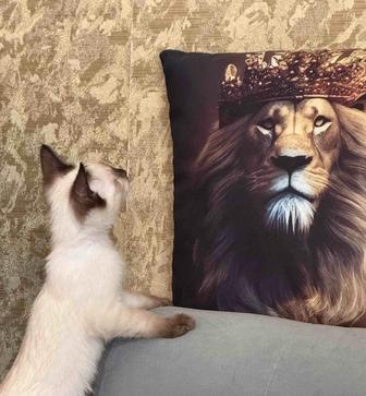 Счастливый Котенок Тайский