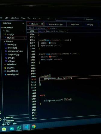 Web-мастер, Web-дизайнер