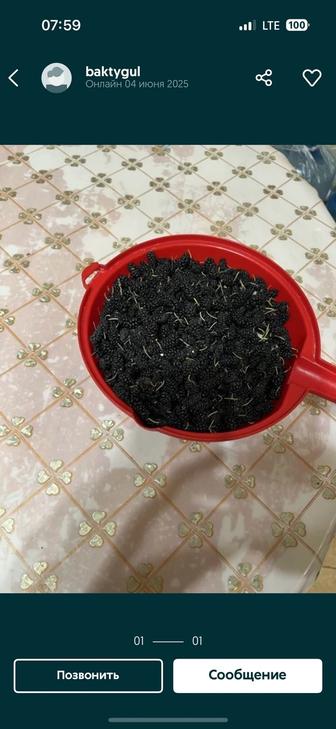 Куплю шелковицу тутовник ягоды