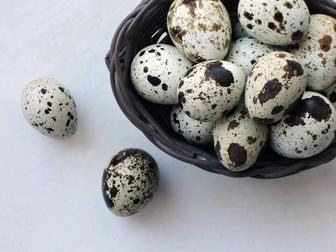 Домашние яйца (перепеленные, куринные)