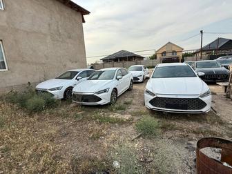 В аренду гибрид BYD Qin Plus DM-i и Электро HonQi