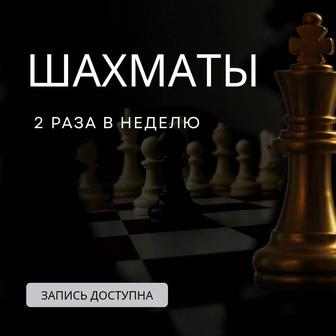 Шахматы Базовый Уровень