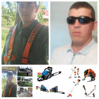 Шөп орамын сотығы Ағаш кесемін бөлшектеп беремін