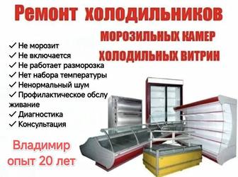 Ремонт любых витринных холодильников