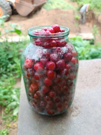 Продам вишню