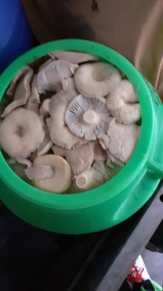 Грибы грузди соленые