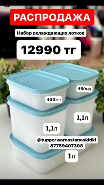 Набор охлаждающих лотков для заморозки Tupperware