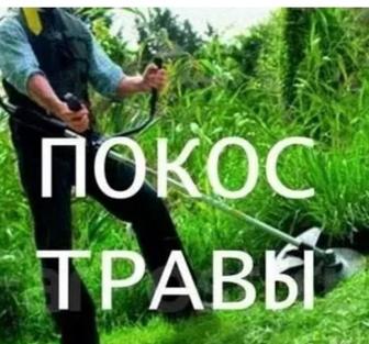 Скашу трову тримером