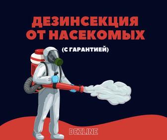 Дезинфекция от клопов. Уничтожение клопов в Алматы и области