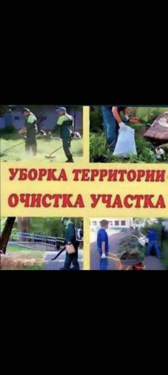 Пилим спилить деревья рубим дрова уборка теретории