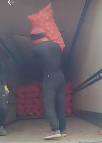 Услуги грузчиков по договорной цене