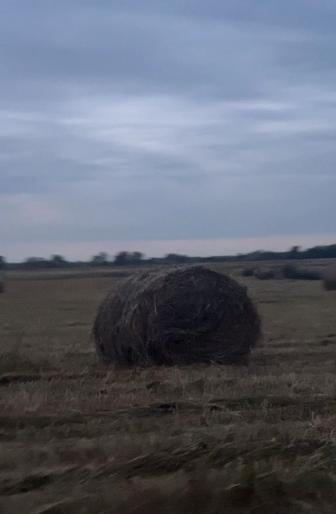 Продам Сено Луговое