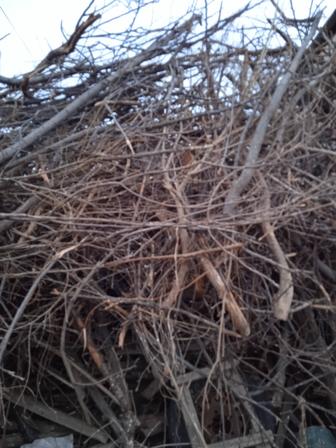 Дрова для отопления