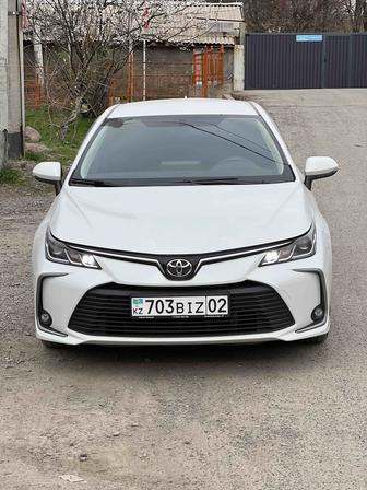 Аренда авто