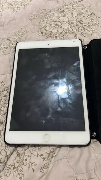 iPad mini