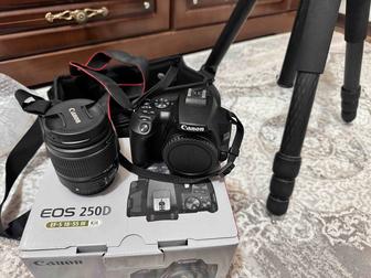 Продам Canon 250D со штативом Innorell