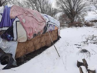 Сено люцерно в тюках