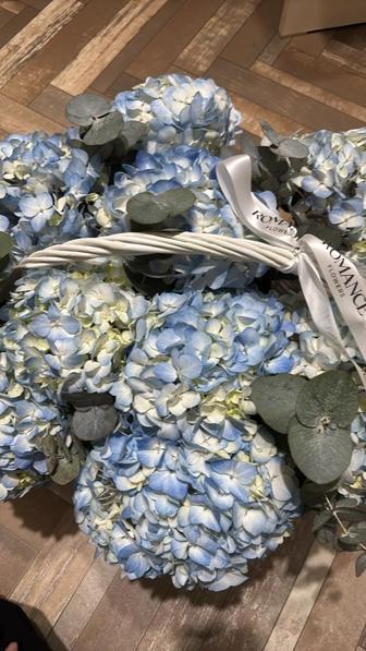 Цветы гортензия