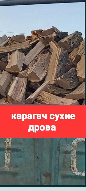 Дрова карагач рубленые