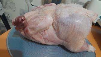 Свежие бройлеры экологически чистое мясо!