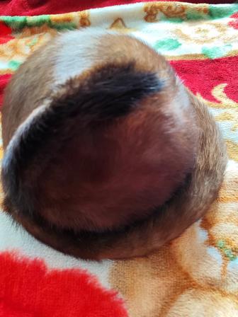 Норковая шапка