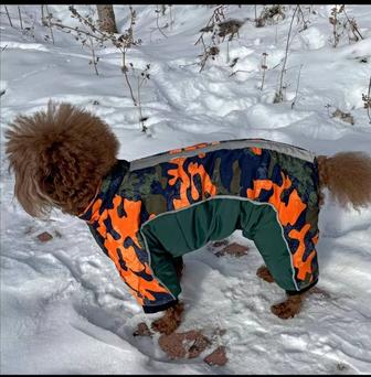 Зимний комбинезон для собак мелких пород