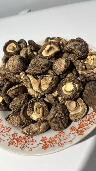 Опята жареные