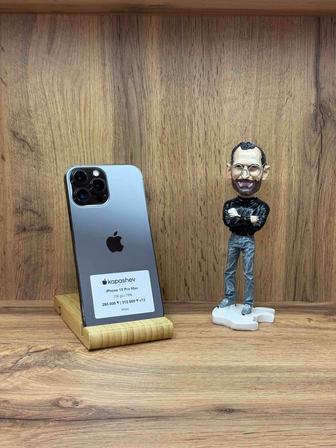 iPhone 13 Pro Max 256 gb