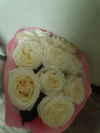 Продам букет цветов,свежие цветы