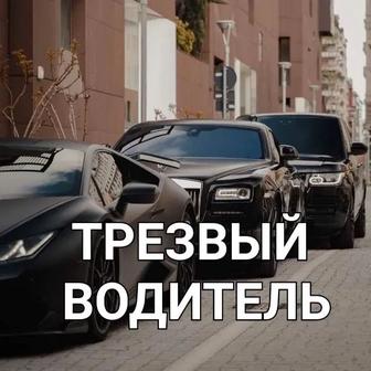 Трезвый водитель