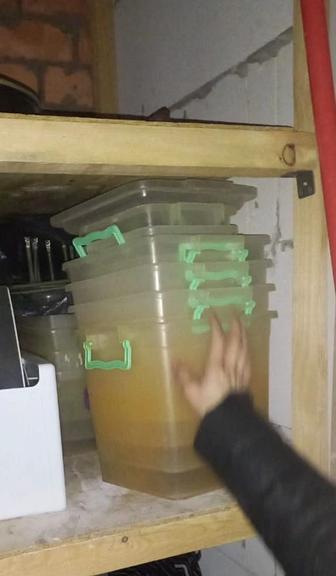 Контейнеры с крышками разные размеры