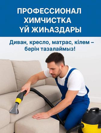 Профессиональный химчистка