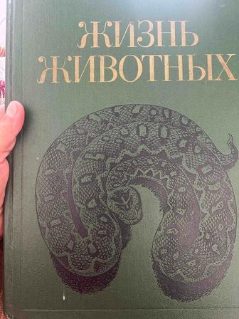 Продам энциклопедии