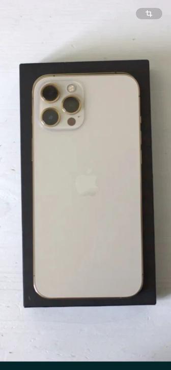 iPhone 12pro