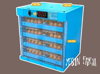 Инкубаторы для вывода птиц с гарантией качества