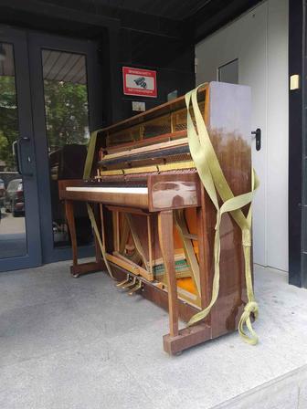 услуги грузчиков