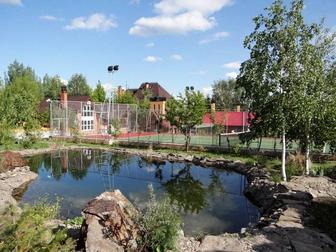 Ландшафтный дизайн и системы полива.