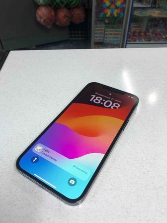 IPhone 12 Pro Max 256