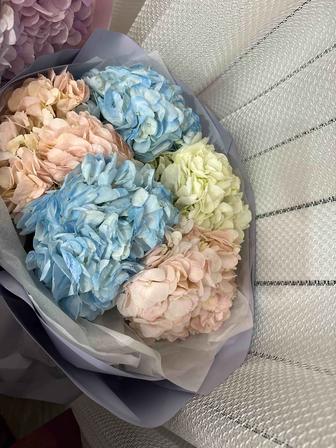 Цветы гортензии