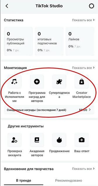 ТикТок аккаунты с монетизацией. Франция, Германия, Южная Корея и т.д.