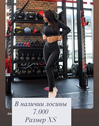 Bona Fide Спортивная одежда. Лосины/топы/рашгарды