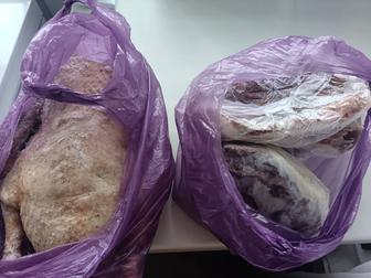 Продам гусей