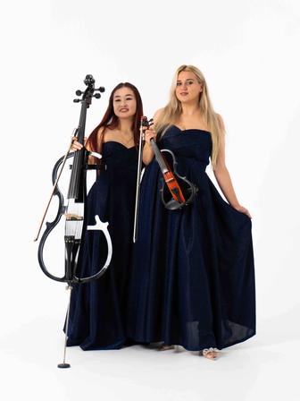 Электро скрипка, виолончель, встреча гостей, живая музыка