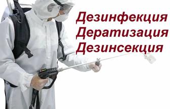 Дезинфекция, десинсекция и дератизация. Обработка от тараканов, клопов и т.