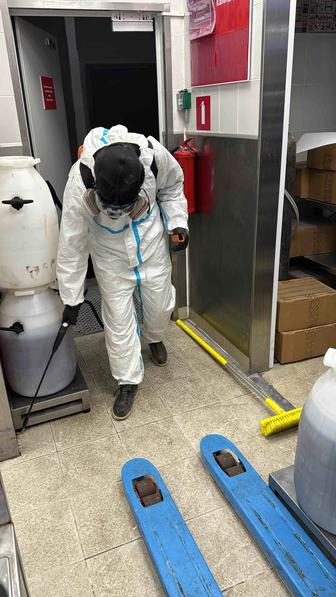 Дезинфекция, дезинсекция и дератизация. Обработка от тараканов, клопов и т.