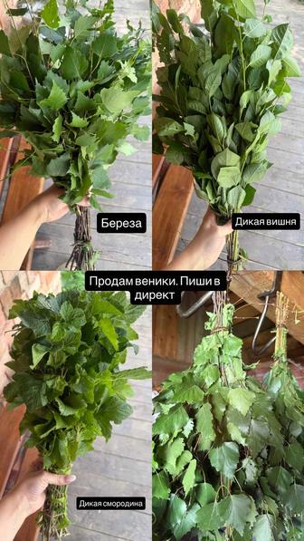 Веники дубовые, березовые из дикой вишни и смородины