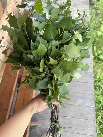 Веники дубовые, березовые