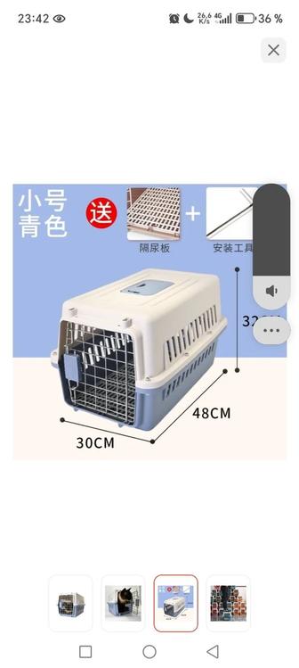 Аренда переноски для кошек и собак. Караганда