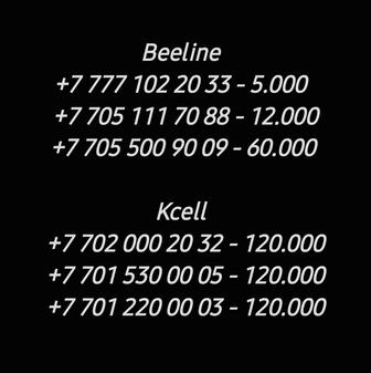 Номера Kcell, Beeline
